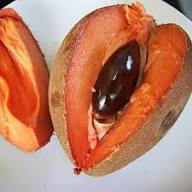 Mamey-Samen, bio, samenecht, gentechnikfrei, hohe Keimrate, Bio-Gartensamen zum Pflanzen