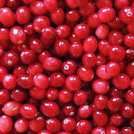 Rexd Huckleberry Seeds Heirloom Non-GMO High Germination Organic Garden Seeds for Planting
