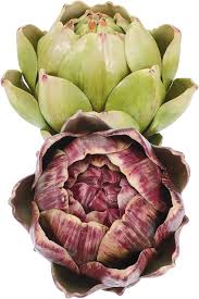 Mixed Artichoke Seeds – Heirloom, Non-GMO, High Germination Organic Garden Seeds Planting
