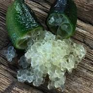 Green Finger Lime Seeds for Planting – Heirloom Non-GMO High Germination Organic Garden Seeds