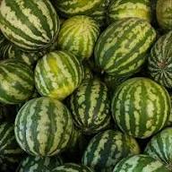 Green Watermelon Plant Seeds Heirloom Non-GMO High Germination Organic Garden Seeds for Planting
