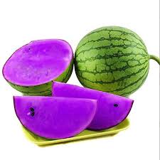 Green Purple Watermelon Fruit Seeds for Planting – Heirloom, Non-GMO, High Germination Organic Garden Seeds