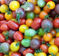 Tomato Seeds – Heirloom, Non-GMO, High Germination Organic Garden Seeds