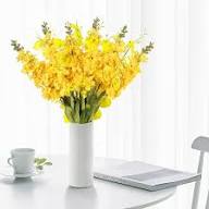 Yellow Delphinium Flower Seeds for Planting – Heirloom, Non-GMO, High Germination