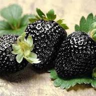 Black Strawberry Fruit Seeds for Planting – Heirloom Non-GMO High Germination Organic Garden Seeds for Sweet Strawberries