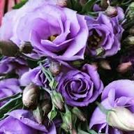 Violet Lisianthus Flower Seeds – Heirloom Non-GMO High Germination Organic Garden Seeds