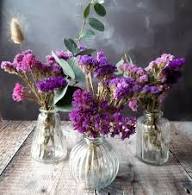 Purple Statice Flower Seeds Heirloom Non-GMO High Germination Organic Garden Seeds for Planting