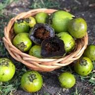 Black Sapote Fruit Seeds for Planting – Heirloom Non-GMO High Germination Organic Garden Seeds