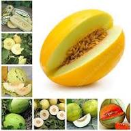 Mixed Cantaloupe Seeds – Heirloom, Non-GMO, High Germination Organic Garden Seeds