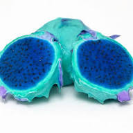 Sky Blue Pitaya Fruit Seeds for Planting – Rare Heirloom Non-GMO High Germination Organic Garden Seeds