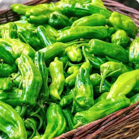 Shishito Pepper Seeds for Planting – Heirloom, Non-GMO Vegetable Garden Seeds