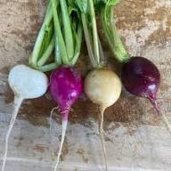 Beetroot Mixed – Heirloom, Non-GMO, High Germination Organic Garden Seeds Planting