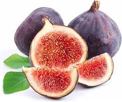 Fig Seeds Brown Heirloom Non-GMO High Germination Organic Garden Seeds for Planting