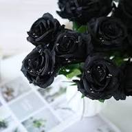Black Bonsai Rose Flower Seeds for Planting – Heirloom Non-GMO High Germination Organic Garden Seeds