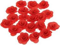 Pink Red Rose Flower Seeds for Planting – Heirloom Non-GMO High Germination Organic Garden Seeds