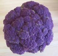 Purple Broccoli Seeds – Heirloom, Non-GMO, High Germination Organic Garden Seeds