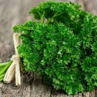Perennial Parsley Plant Seeds Heirloom Non-GMO High Germination Organic Garden Seeds