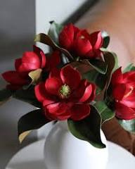 Red Magnolia Flower Seeds – Heirloom, Non-GMO, High Germination Organic Garden Seeds for Planting
