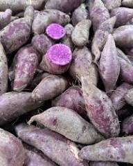 Mixed Sweetpotato Seeds – Heirloom, Non-GMO, High Germination Organic Garden Seeds Planting