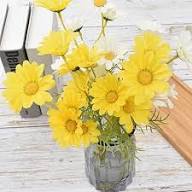 Yellow White Chamomile Flower Seeds for Planting | Heirloom Non-GMO Organic