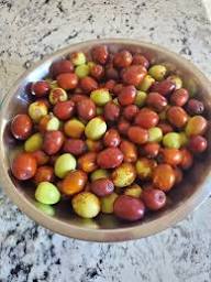 Brown Jujube Seeds Heirloom Non-GMO High Germination Organic Garden Seeds for Planting
