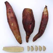 Cajamarca Yacon Vegetable Seeds for Planting – Heirloom Non-GMO Organic Root Crop Seeds, High Germination Garden Seeds