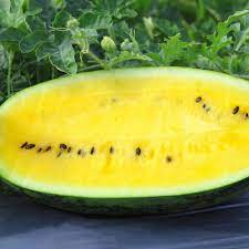 Yellow Crimson Watermelon Fruit Seeds – Heirloom, Non-GMO Seeds for Planting, High Germination Organic Garden Seeds