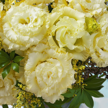 Eustoma Flower Seeds Yellow – Heirloom, Non-GMO, High Germination Seeds