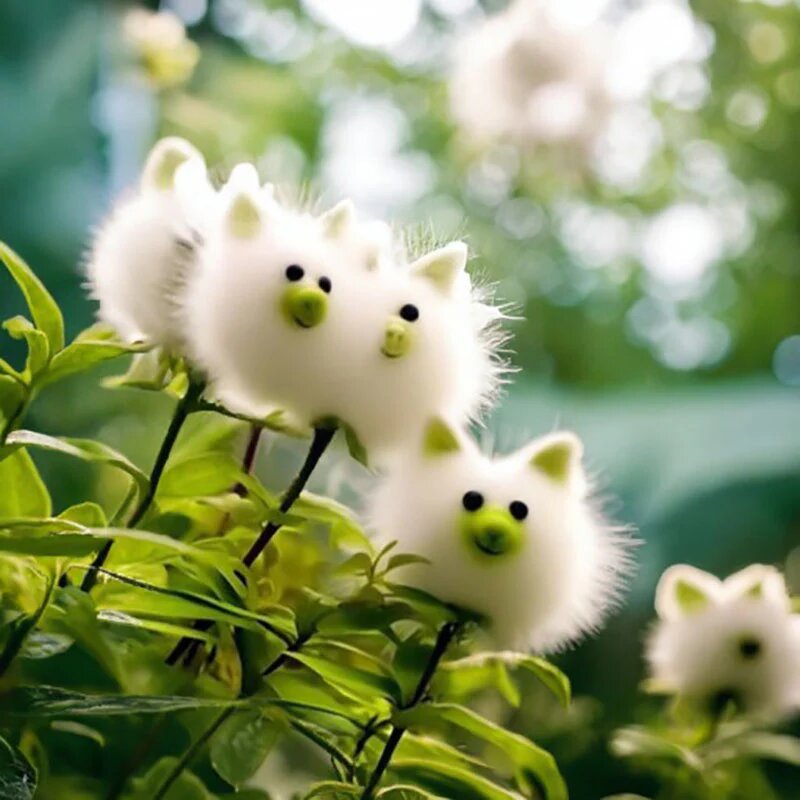 Amazing Plants! Cat&