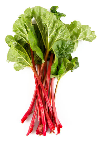 Rhubarb Plant Seeds for Planting -Heirloom &amp; Non-GMO Seeds | Heirloom Non-GMO High Germination Organic Garden Seeds