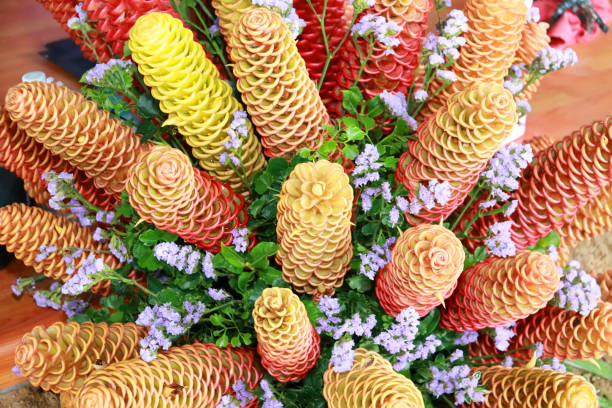 Mixed Beehive Ginger Flower Seeds – Heirloom, Non-GMO, High Germination Seeds
