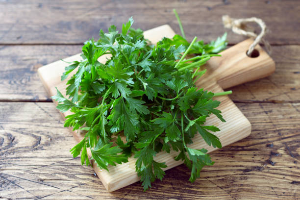 Cilantro Coriander Herb Seeds for Planting – Heirloom, Non-GMO, High Germination Seeds
