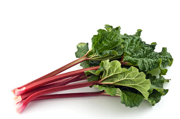 Rhubarb Plant Seeds for Planting -Heirloom &amp; Non-GMO Seeds | Heirloom Non-GMO High Germination Organic Garden Seeds