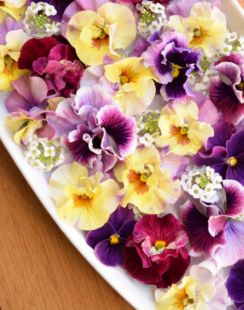 Mixed Double Pansy Flower Seeds – Heirloom Non-GMO High Germination Seeds