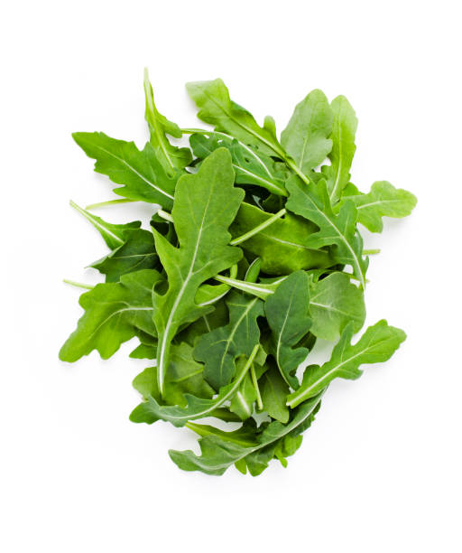 Green Rocket Salad Seeds for Planting | Heirloom Non-GMO High Germination Organic Garden Seeds