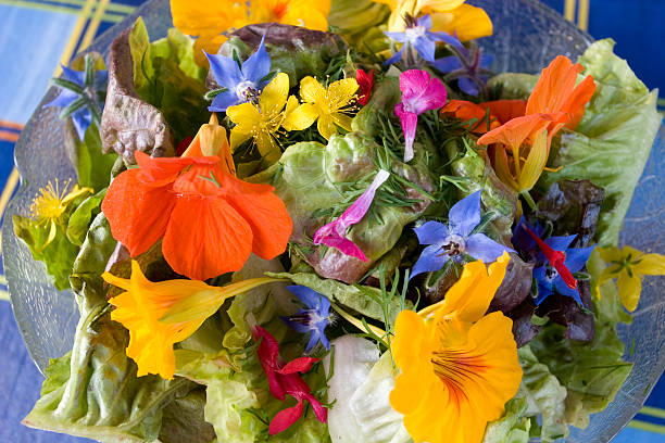Mixed Nasturtium Flower Seeds – Heirloom, Non-GMO, High Germination Seeds
