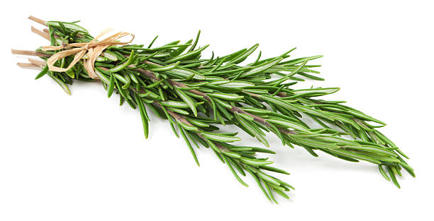 Rosemary Seeds – Heirloom Non-GMO High Germination Seeds for Edible &amp; Ornamental Gardens