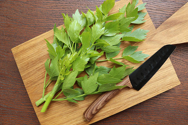 Lovage Herb Seeds – Heirloom, Non-GMO, High Germination Seeds for Planting
