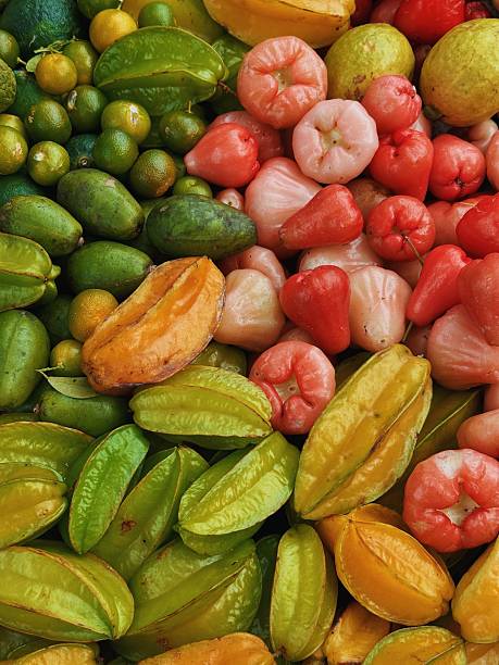 Mixed Rose Apple Fruit Seeds – Heirloom, Non-GMO, High Germination Seeds