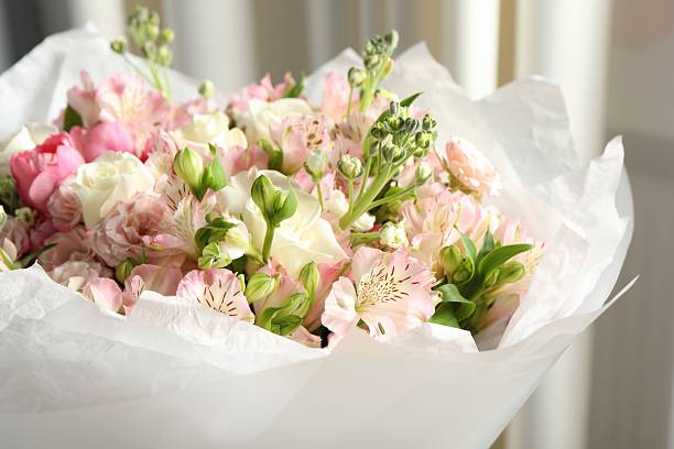 Mixed Alstroemeria Flower Seeds – Heirloom, Non-GMO, High Germination Seeds