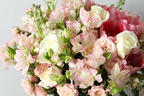 Mixed Alstroemeria Flower Seeds – Heirloom, Non-GMO, High Germination Seeds