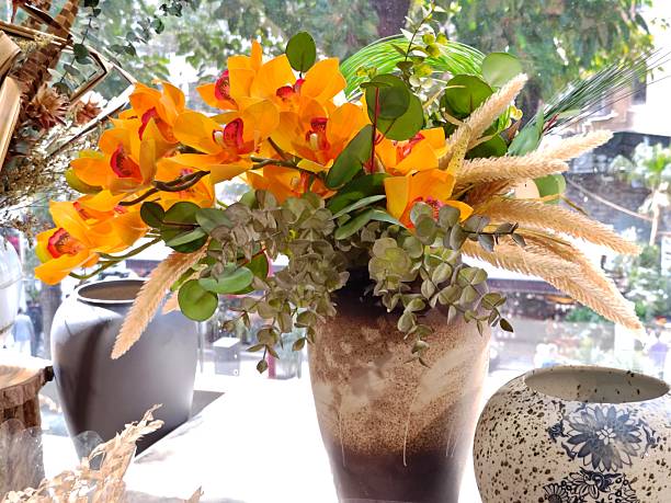 Orange Cymbidium Flower Seeds – Heirloom, Non-GMO, High Germination Seeds