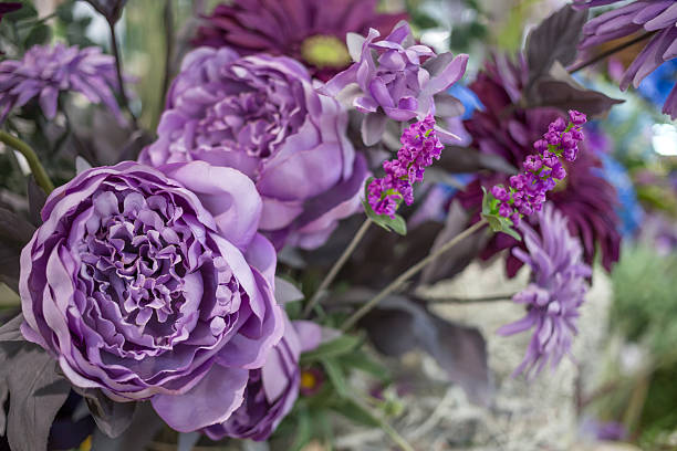 Perennial Peony Flower Seeds Purple – Heirloom, Non-GMO, High Germination Seeds