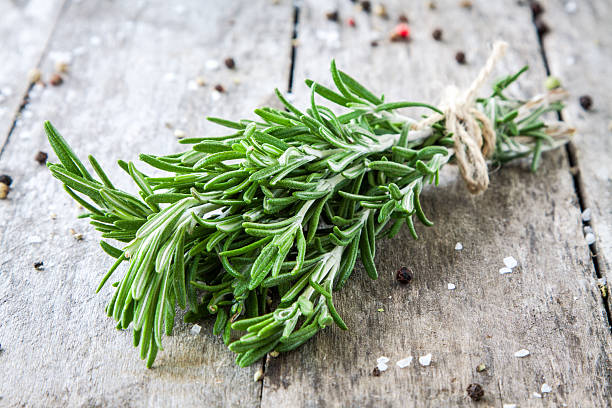 Rosemary Seeds – Heirloom Non-GMO High Germination Seeds for Edible &amp; Ornamental Gardens