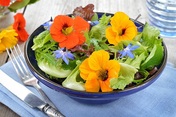 Mixed Nasturtium Flower Seeds – Heirloom, Non-GMO, High Germination Seeds for Planting