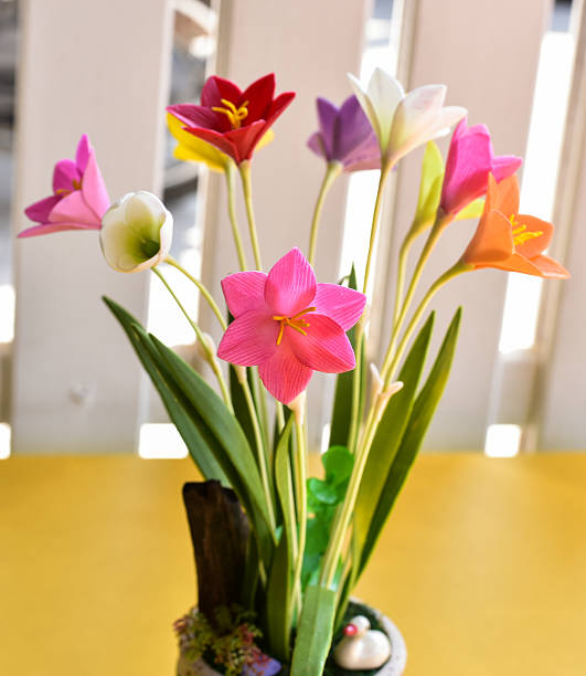 Mixed Schizostylis Flower Seeds – Heirloom, Non-GMO, High Germination Seeds