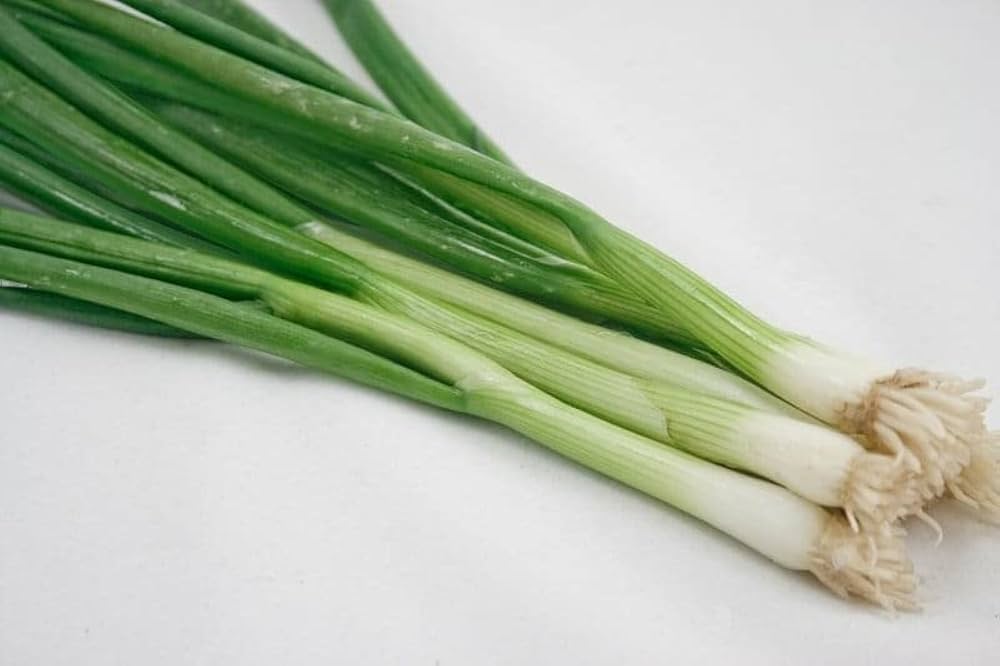 white japanese flower seeds
