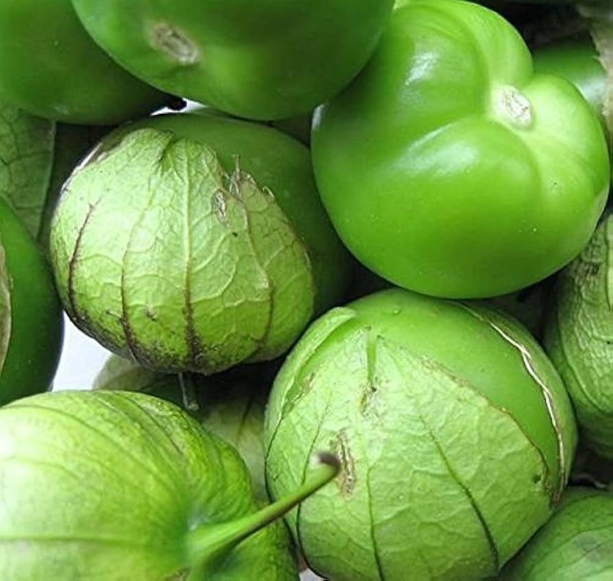 konditer tomatillo flower seeds