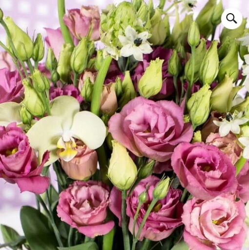 lisianthus aube flower seeds