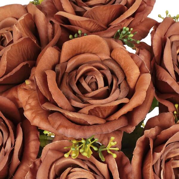 Rose Flower Seeds Brown – Heirloom, Non-GMO, High Germination, Organic Garden Seeds for Planting
